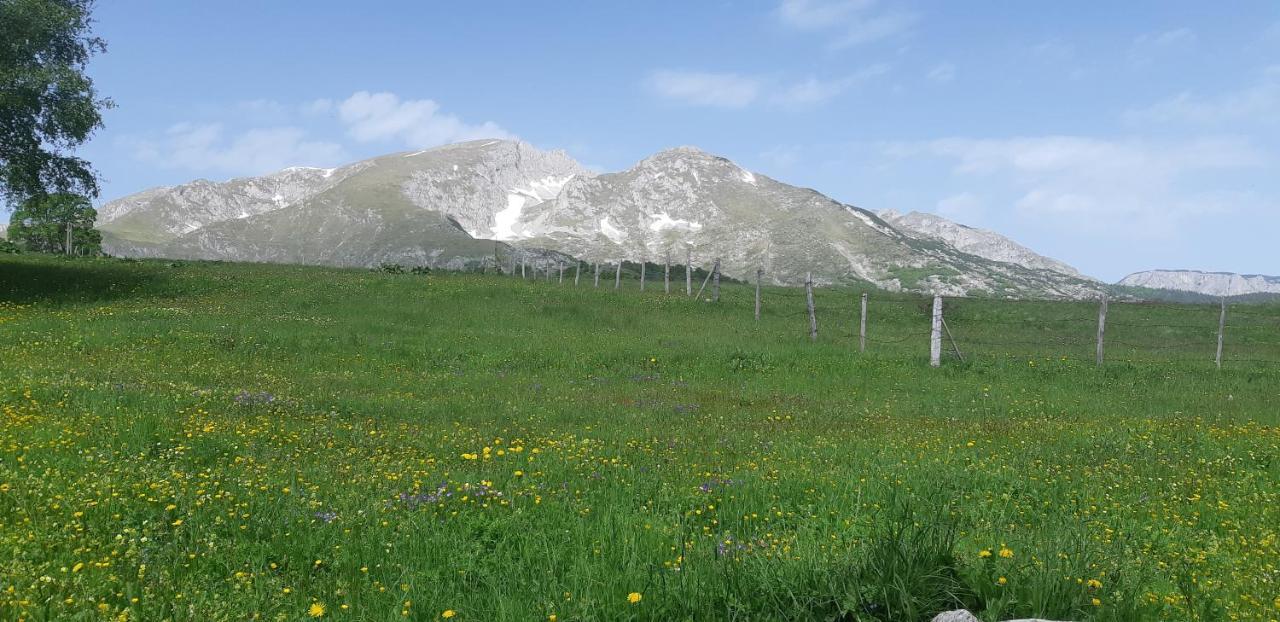 Durmitorski Konak Zabljak  Exterior photo